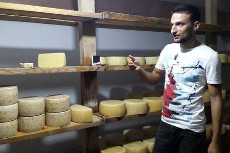 “Shija e Veriut”, një udhëtim në traditat shqiptare të përpunimit të djathit