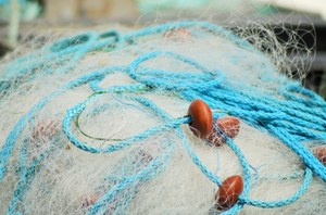 ARGOS - A collaborative strategic project for sustainability of fisheries and aquaculture in the Adriatic Sea