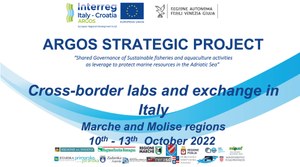 Cross-border activities in Italy