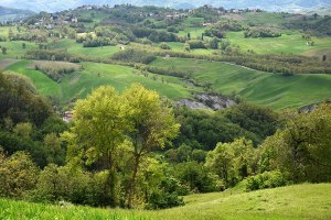 First survey questionnaire for farmers in Emilia-Romagna