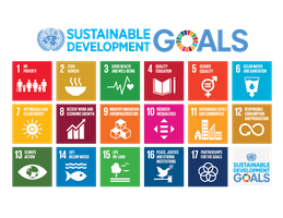 More about SDGs