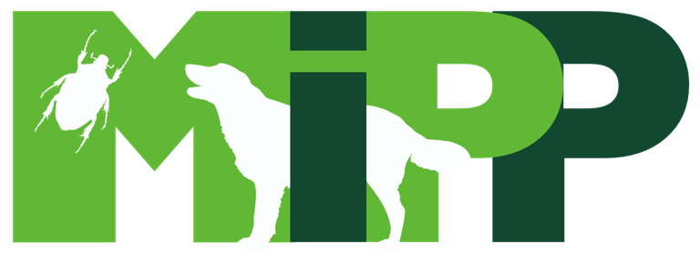 Mipp logo