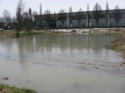 Enzola creek overflowing 3