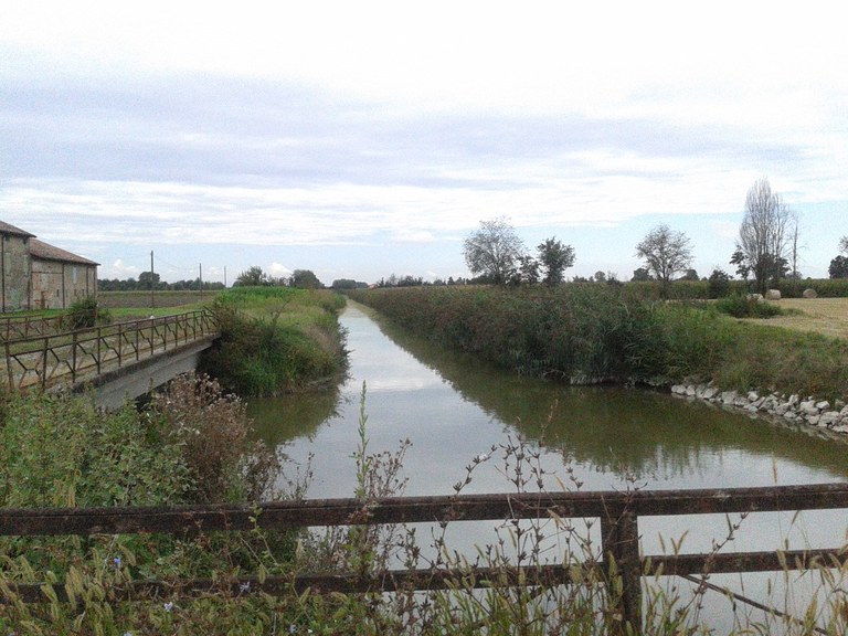 Collettore Alfiere canal