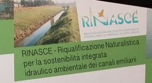 The European Project LIFE RINASCE at EXPO Milan 2015