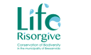 Project LIFE14 NAT/IT/000938 "Risorgive" 