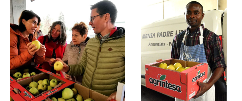 Delivery of fresh fruit and vegetables in Cal Parma destined to charities