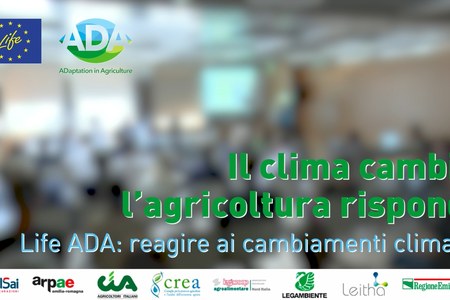 Il progetto Ada e la gestione dei rischi nelle filiere ortofrutticola, lattiero-casearia e vitivinicola