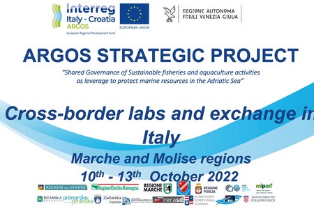 Laboratori transfrontalieri in Italia