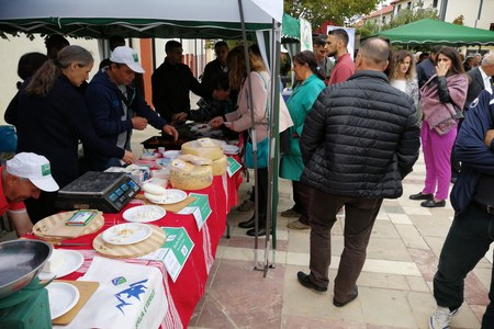 Cheese brand "Shija e veriut" in Puka Fair