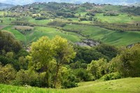 Progetto Console, primo questionario per gli agricoltori dell'Emilia-Romagna