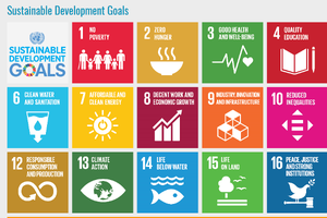 Ulteriori informazioni sugli SDG