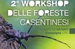 LIFE EREMITA partecipa al 2° Workshop delle Foreste Casentinesi 