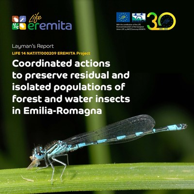 Copertina in inglese Layman's report