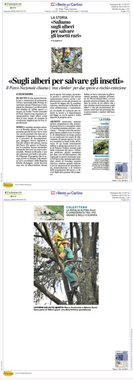Sugli alberi per salvare gli insetti, Resto del Carlino, Forlì, 1 maggio.jpg