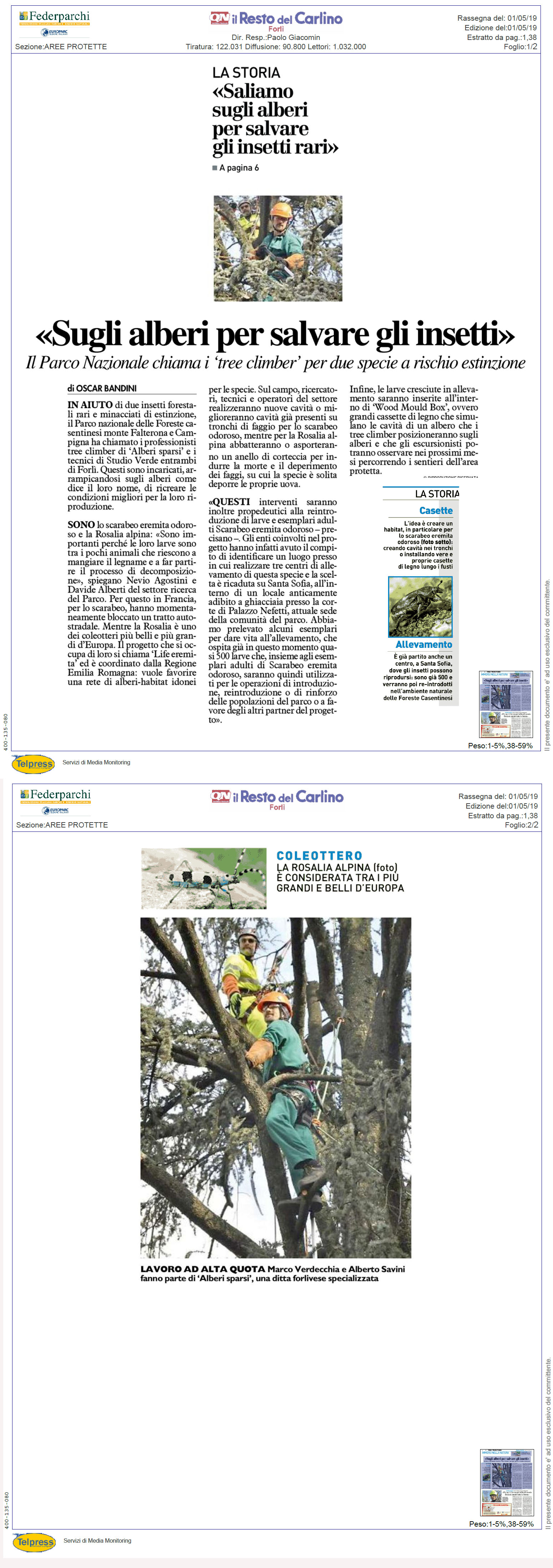 Sugli alberi per salvare gli insetti, Resto del Carlino, Forlì, 1 maggio.jpg