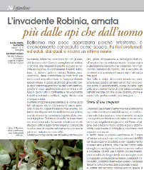 Articolo Agricoltura Robinia