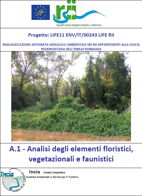 Analisi naturalistica