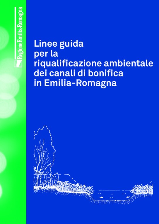 Linee guida Riq Amb