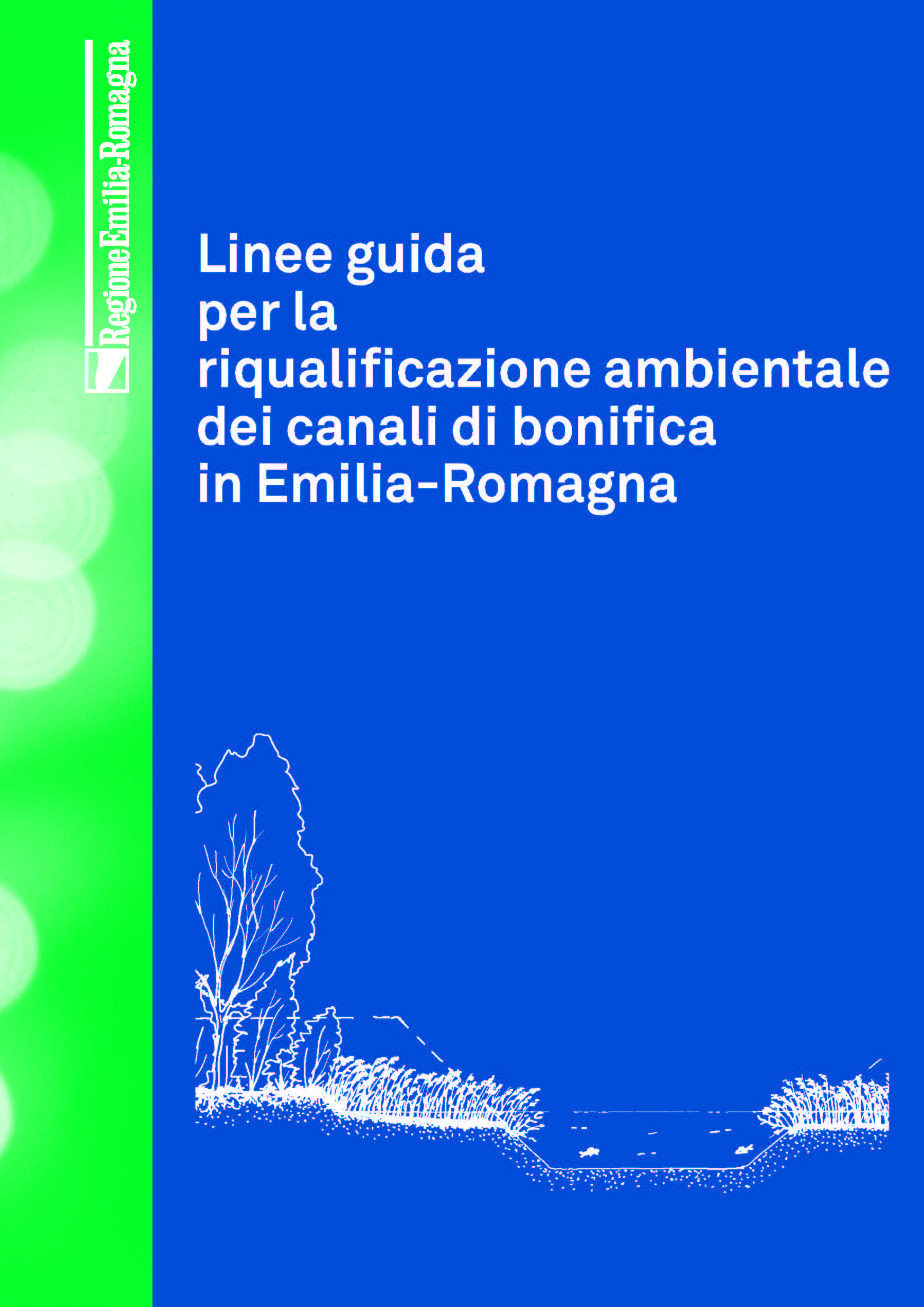 Linee guida Riq Amb