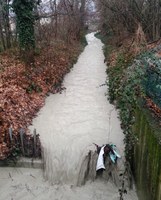 Effetti delle recenti piogge sul Rio Enzola 