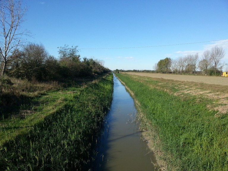 Canale acque basse modenesi