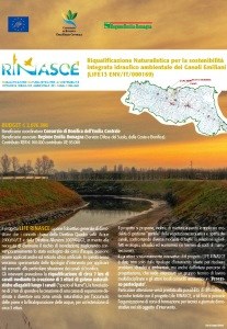 Miniatura Poster Progetto Rinasce