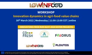 Dinamiche di innovazione nelle filiere agroalimentari, workshop online di Lowinfood e sister projects