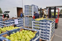 Lotta agli sprechi alimentari, la Regione è in prima linea con il progetto europeo Lowinfood