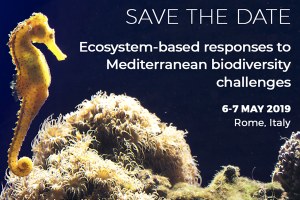 Le risposte basate sugli ecosistemi alle sfide sulla biodiversità nel Mediterraneo