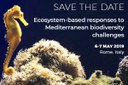 Le risposte basate sugli ecosistemi alle sfide sulla biodiversità nel Mediterraneo