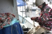 Prizefish, progetto europeo di ricerca italo-croato, prosegue dritto la sua rotta verso l’eco-innovazione della filiera ittica grazie a prodotti sostenibili della pesca