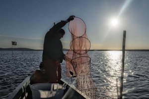 Convegno “La Ricerca incontra gli Operatori del settore della pesca e dell'acquacoltura nell’ambito dei progetti FEAMP”