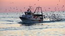 Un sostegno alla piccola pesca in Adriatico